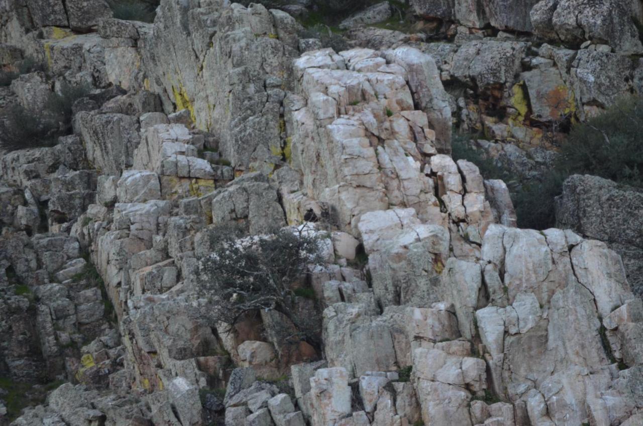 Alojamiento La Canada Monfrague Torrejón el Rubio Extérieur photo